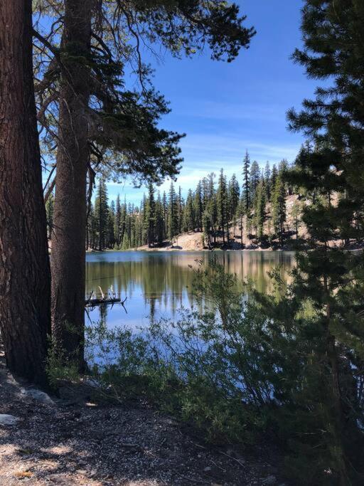 Apartamento Mammoth Awesome Location-1 Min To Shuttles & Food! Toml-Cpan-11402 Mammoth Lakes Exterior foto